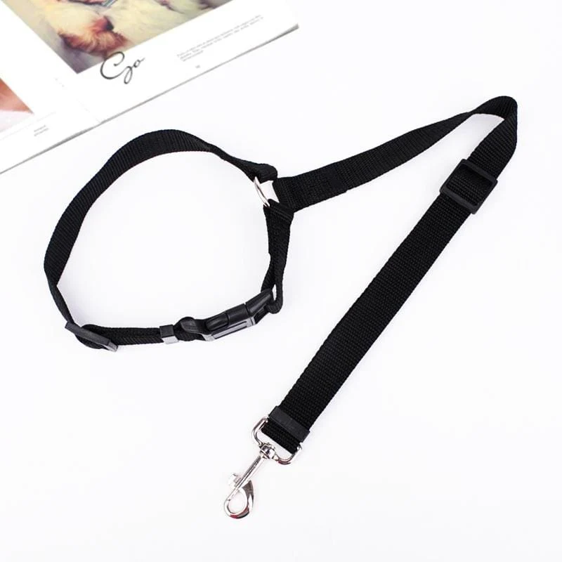 Adjustable Car Dog Leash - Image 11