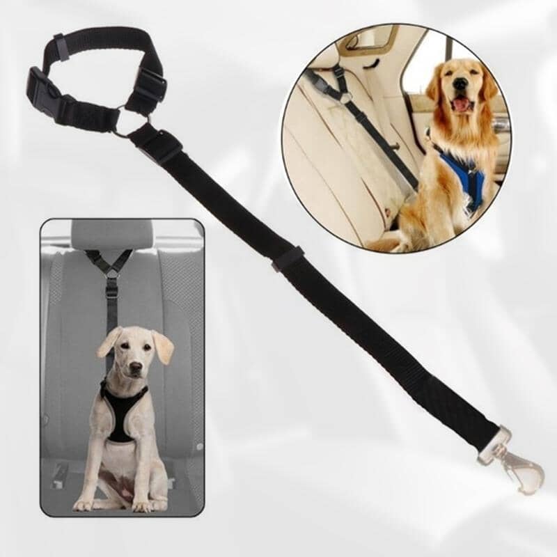 Adjustable Car Dog Leash - Image 3