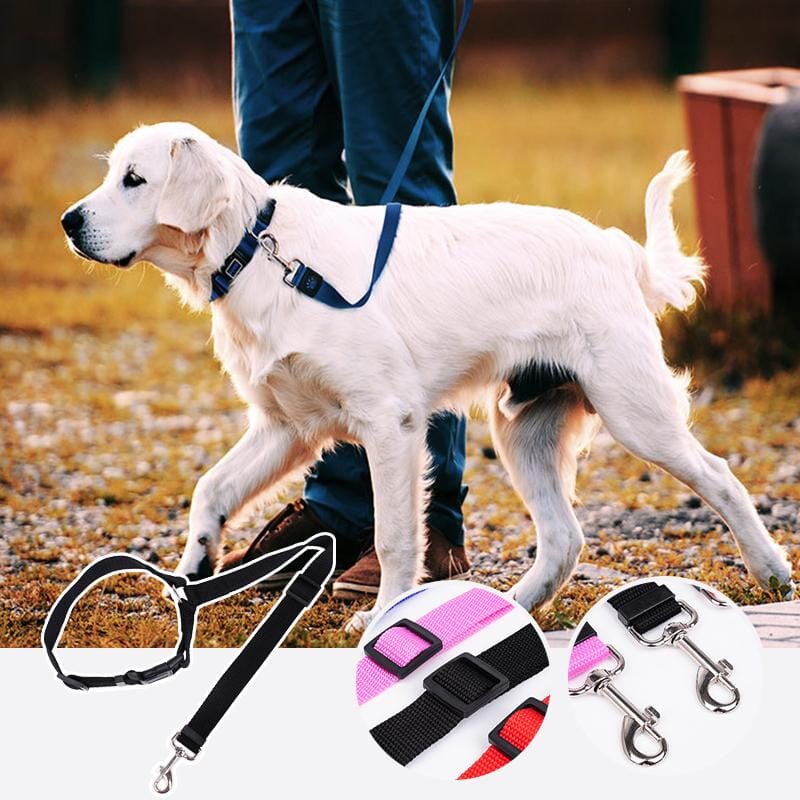 Adjustable Car Dog Leash - Image 6