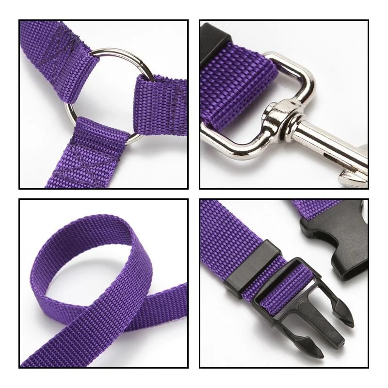 Adjustable Car Dog Leash - Image 7