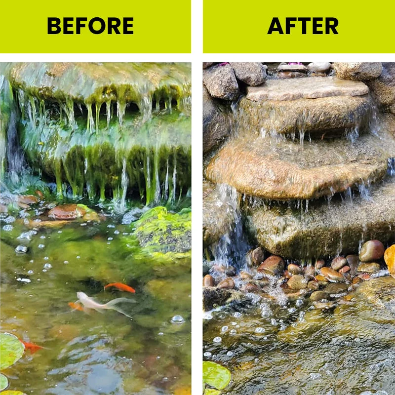 Algae Repellent Agent - Image 6
