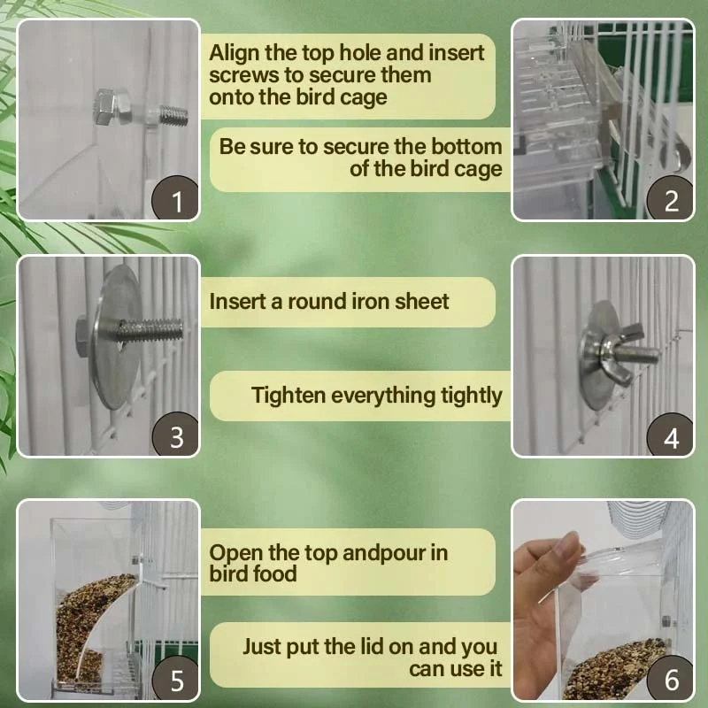 Automatic No-Spill Transparent Bird Feeder - Image 8