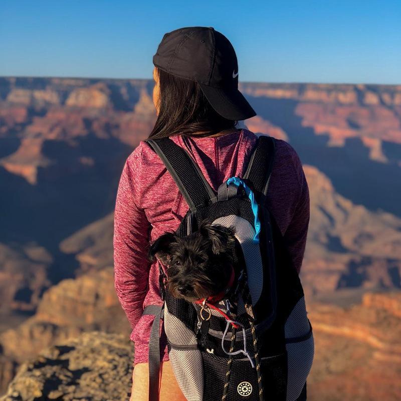 Backpack For Dogs / Cats - Image 11
