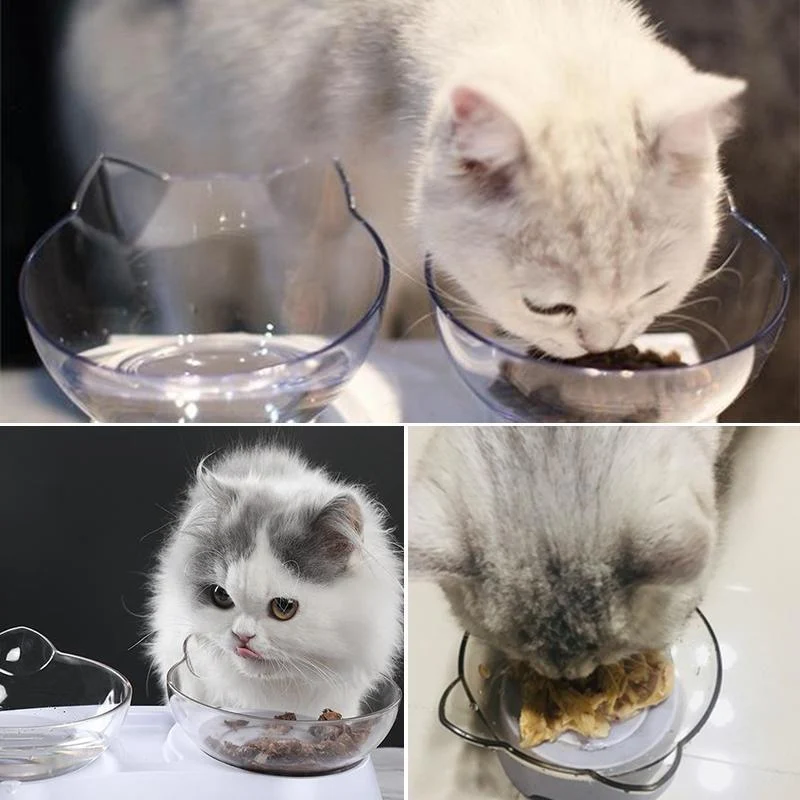 Cat Feeding Bowl (Single/Double) - Image 8