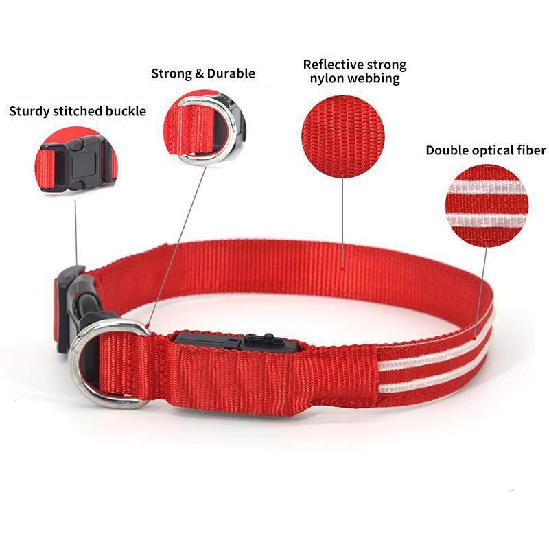 DOG LED COLLARS - Image 7