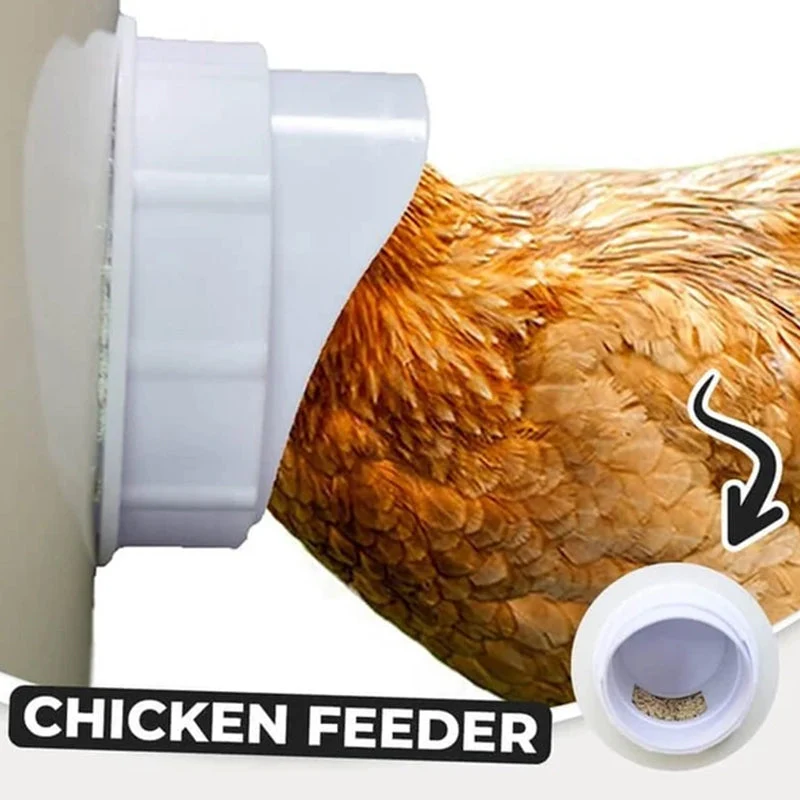 Feeding Kit Special Tools For Breeding Chickens Ducks Poultry Accessories - Image 4