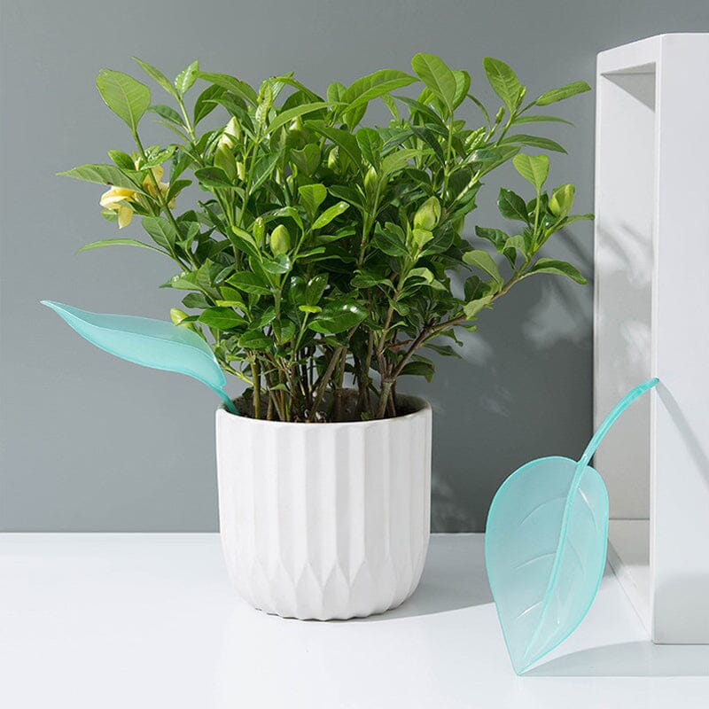 Funny Watering Leaves (6pcs) - Image 2