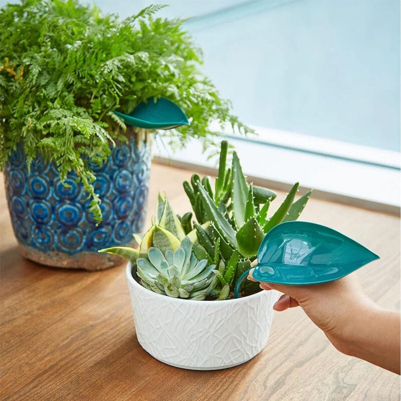 Funny Watering Leaves (6pcs) - Image 3