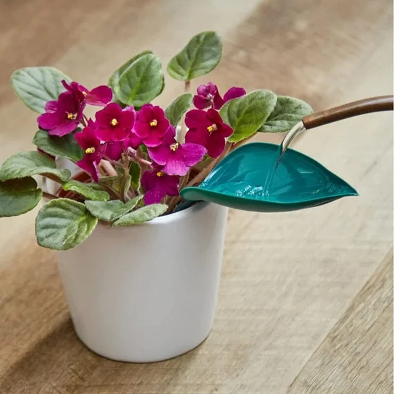 Funny Watering Leaves (6pcs) - Image 4
