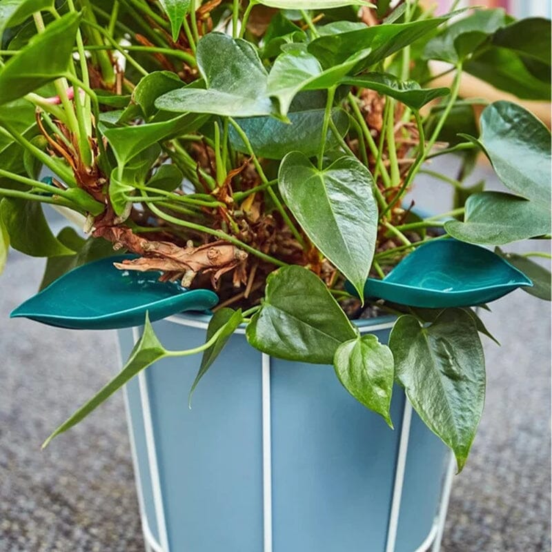 Funny Watering Leaves (6pcs) - Image 6