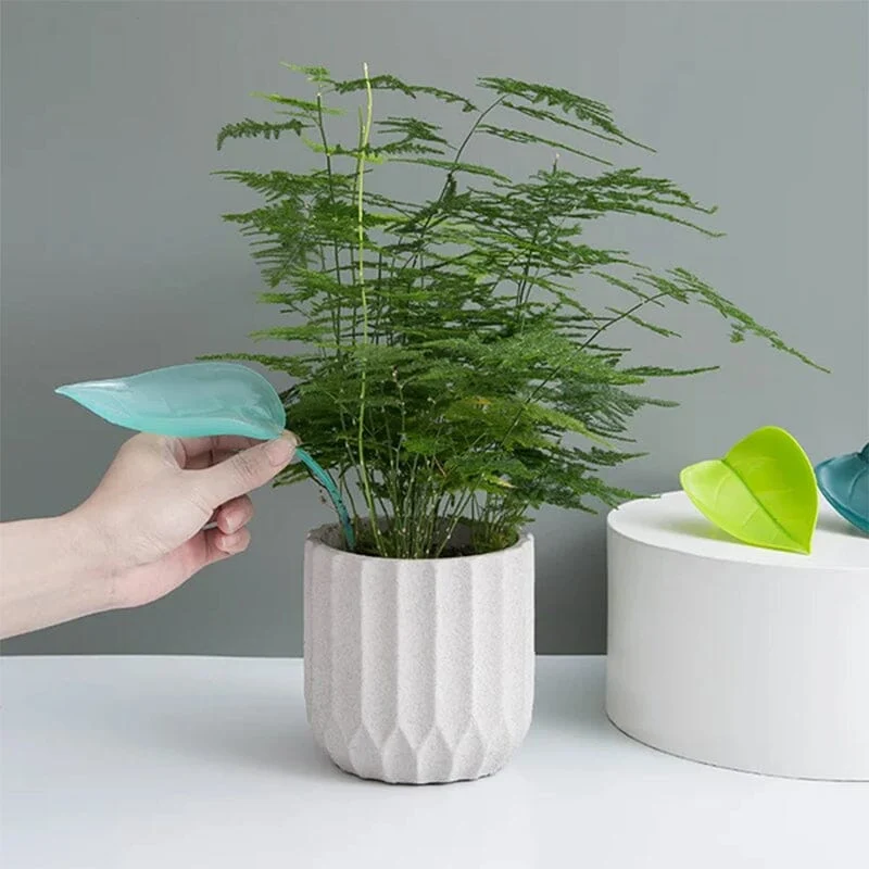 Funny Watering Leaves (6pcs) - Image 7