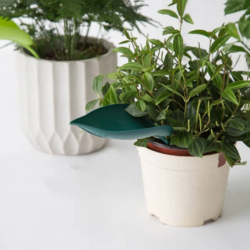 Funny Watering Leaves (6pcs) - Image 8