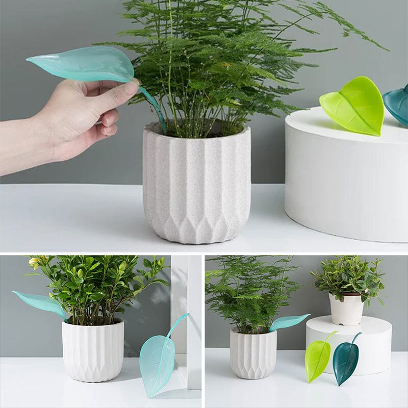Funny Watering Leaves (6pcs) - Image 9