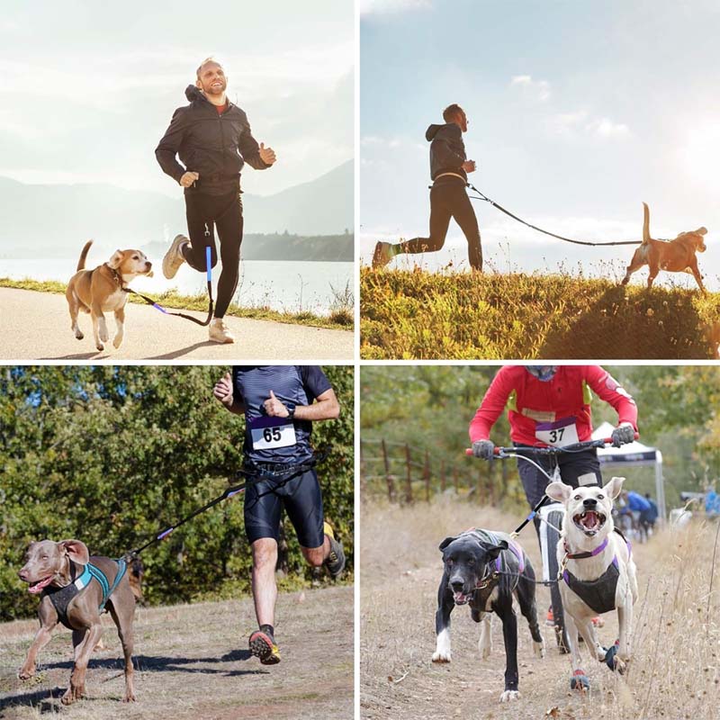 Hands Free Dog Leash With Zipper Pouch - Image 3
