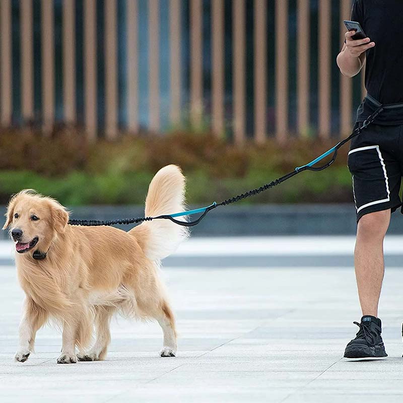 Hands Free Dog Leash With Zipper Pouch - Image 8