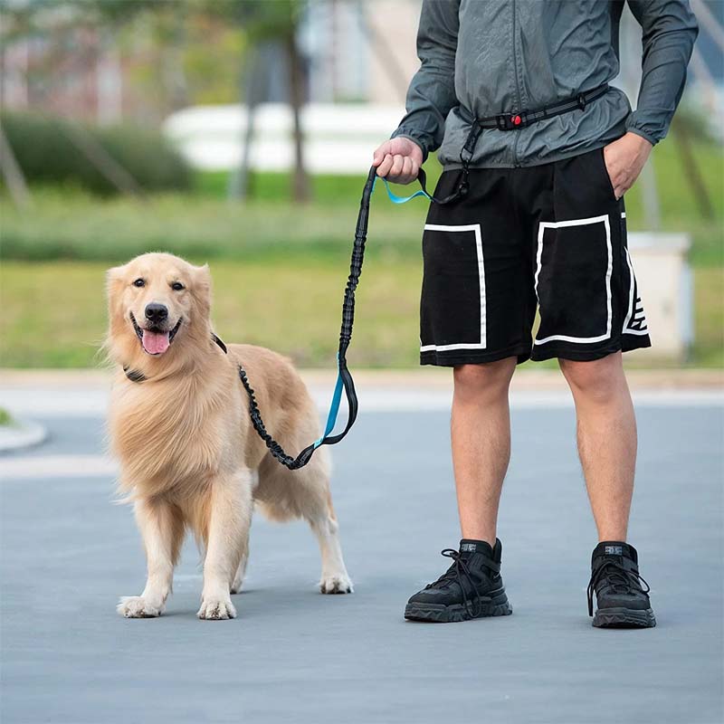 Hands Free Dog Leash With Zipper Pouch - Image 9