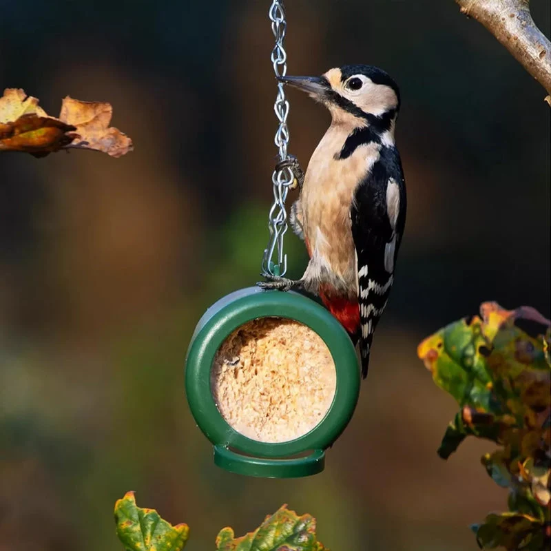 Hanging Bird Feeder - Image 8