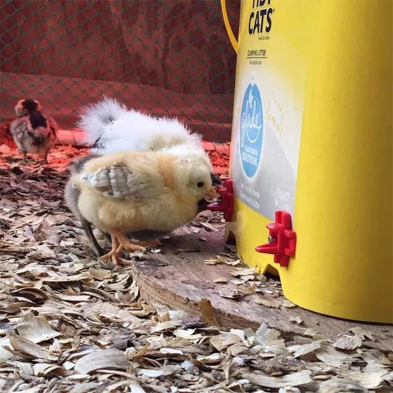 Horizontal Side Mount Chicken Waterer - Image 2