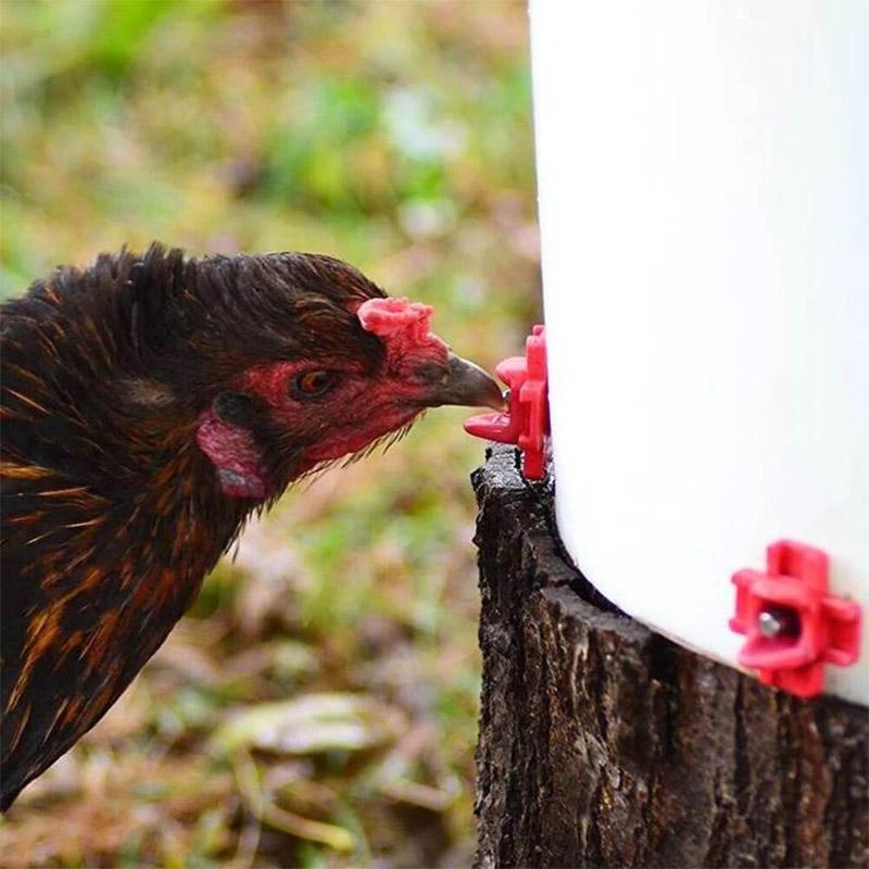 Horizontal Side Mount Chicken Waterer - Image 8