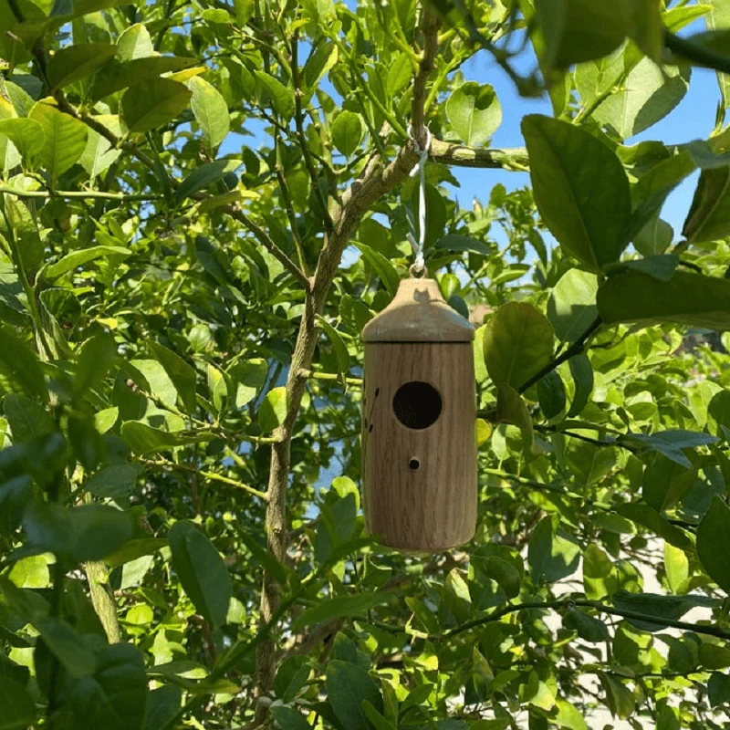 Hummingbird House - Image 2