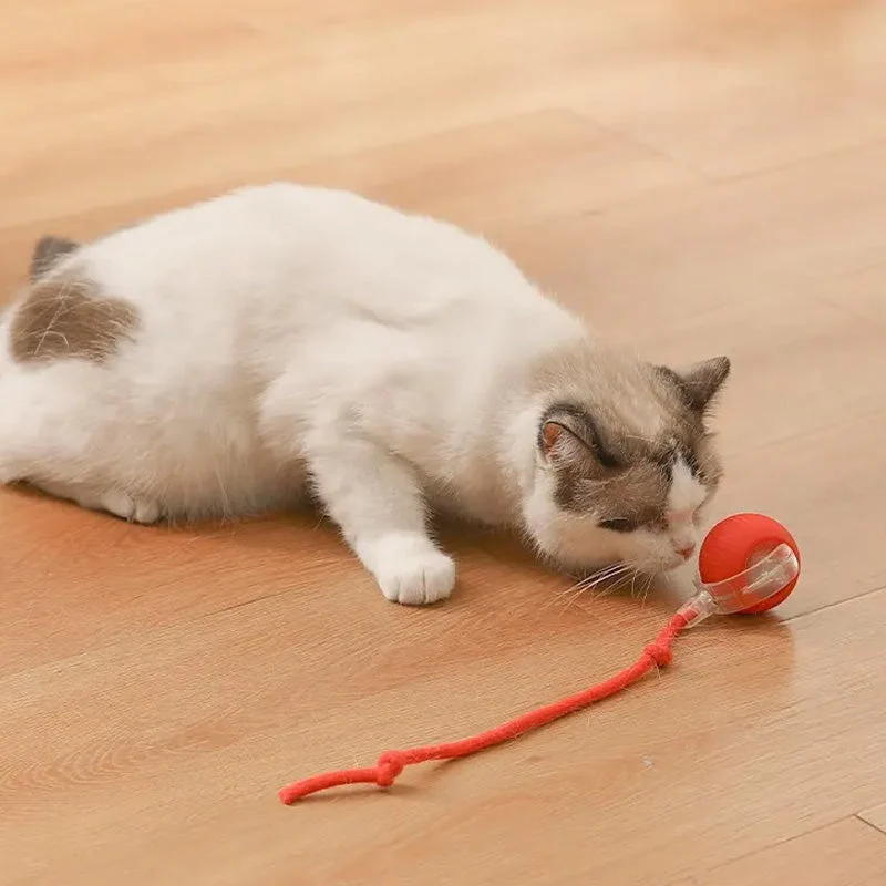 Indoor Cat Interactive Ball - Image 10