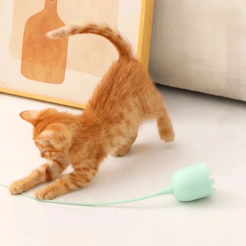 Indoor Cat Toys - Image 6