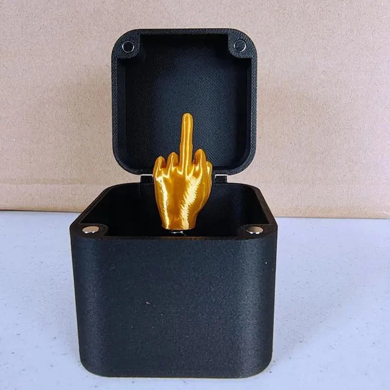 Funny Middle Finger in a Box - Image 3
