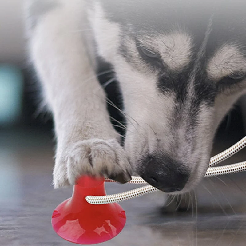 Multifunction Pet Molar Bite Toy - Image 5
