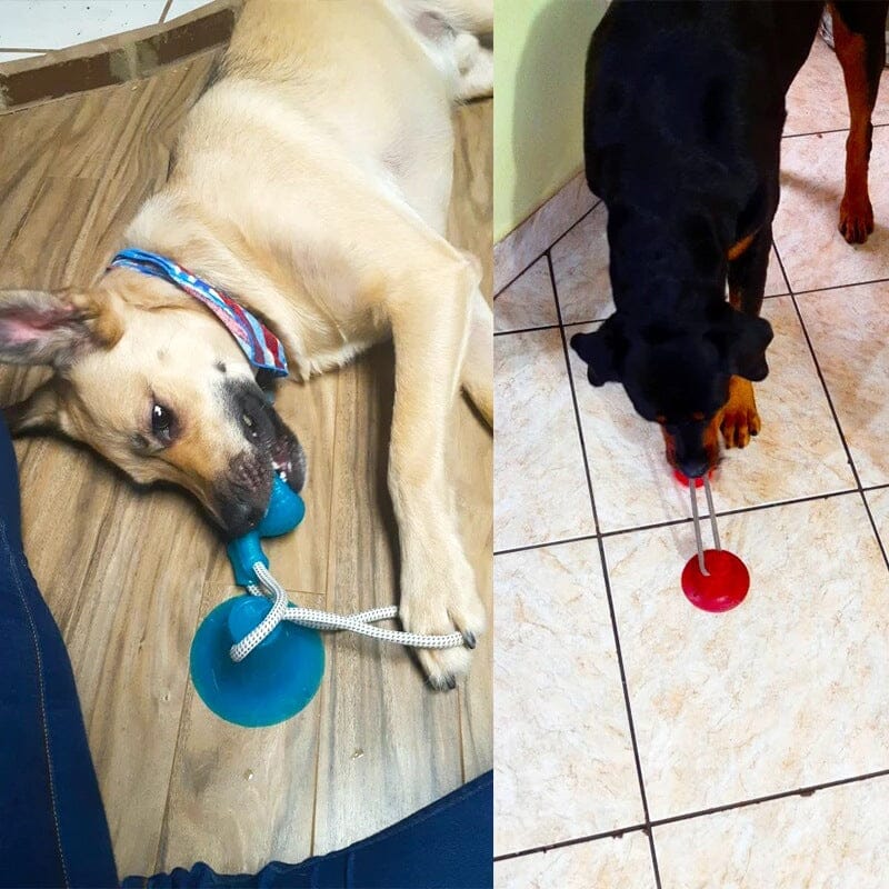 Multifunction Pet Molar Bite Toy - Image 8