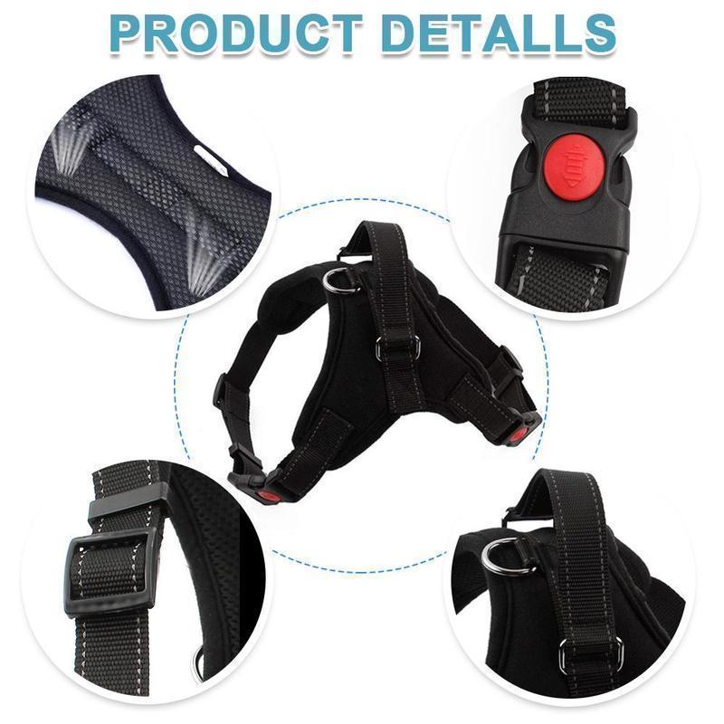 Hirundo® No-Pull Dog Harness, Adjustable Harness for Dogs - Image 3