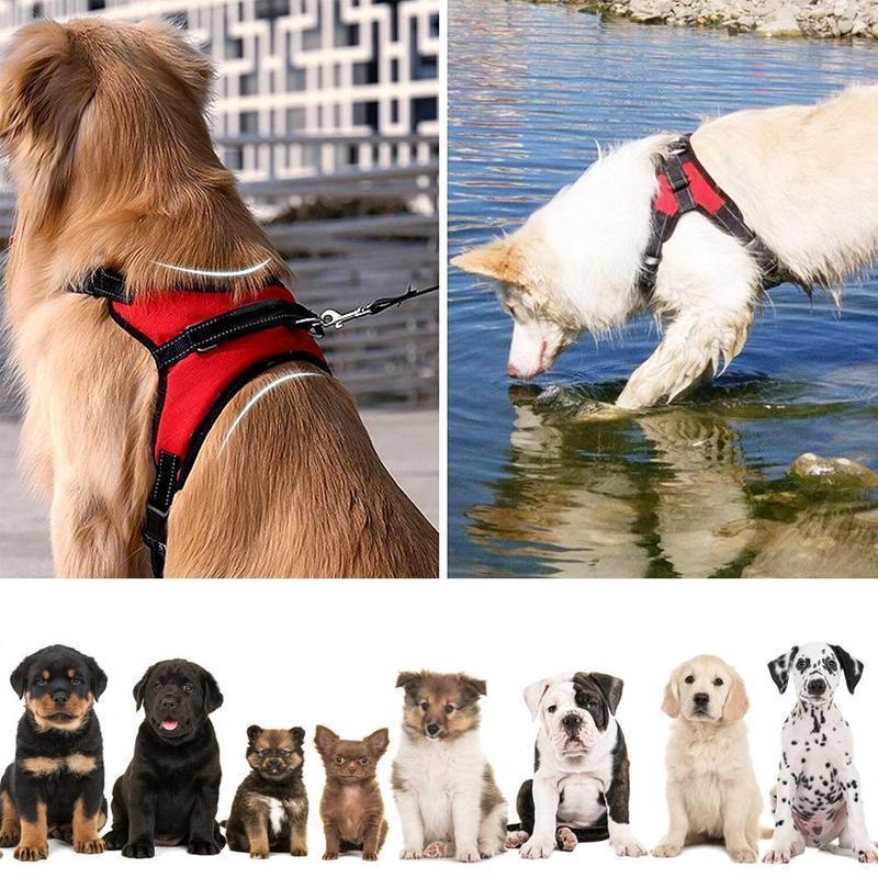 Hirundo® No-Pull Dog Harness, Adjustable Harness for Dogs - Image 8