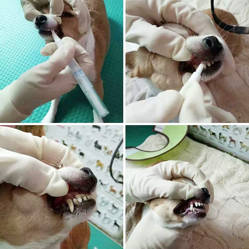 Pet Teeth Cleaning Pen - Image 5