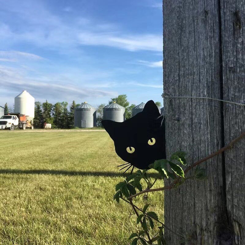 Pre-Sale>>Black Peeping Cat Ornament - Image 11