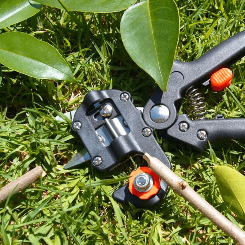 Domom® Professional Garden Grafting Tool Kit - Image 3
