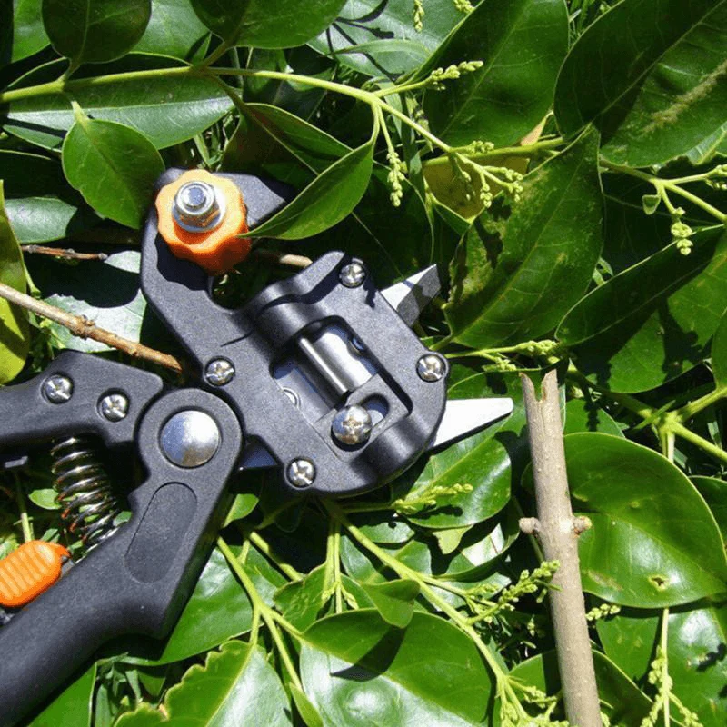 Domom® Professional Garden Grafting Tool Kit - Image 4