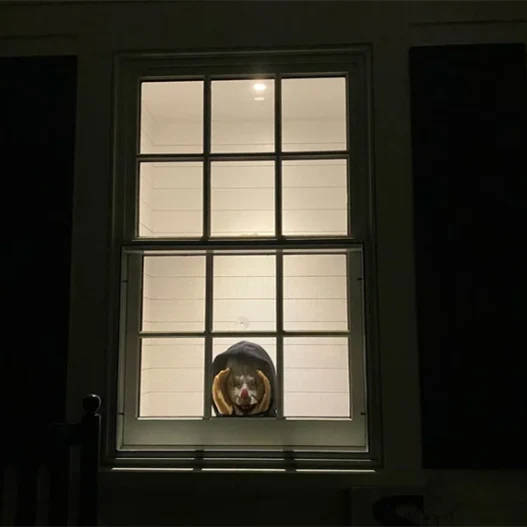 Scary Peeper Creeper - Image 7