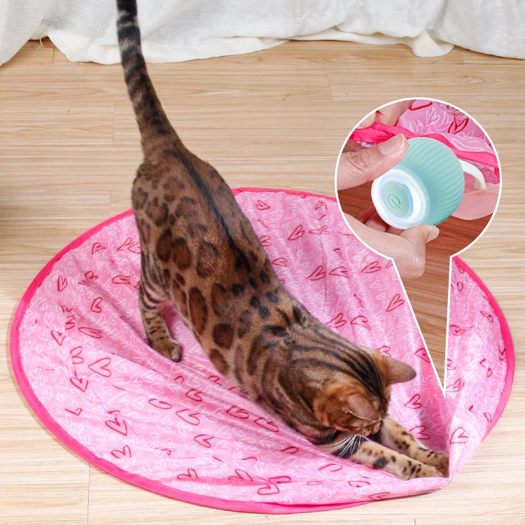 Smart Cat Interactive Ball Toys - Image 3