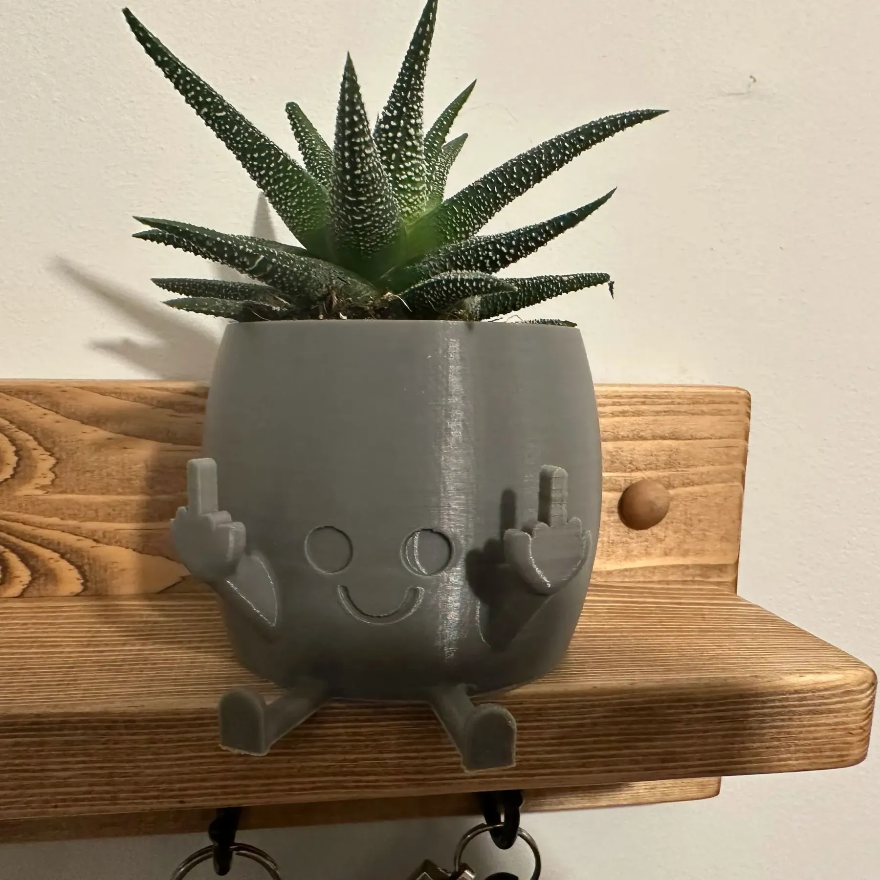 🤣Smiling Plant Pot with Middle Fingers Up - Image 6