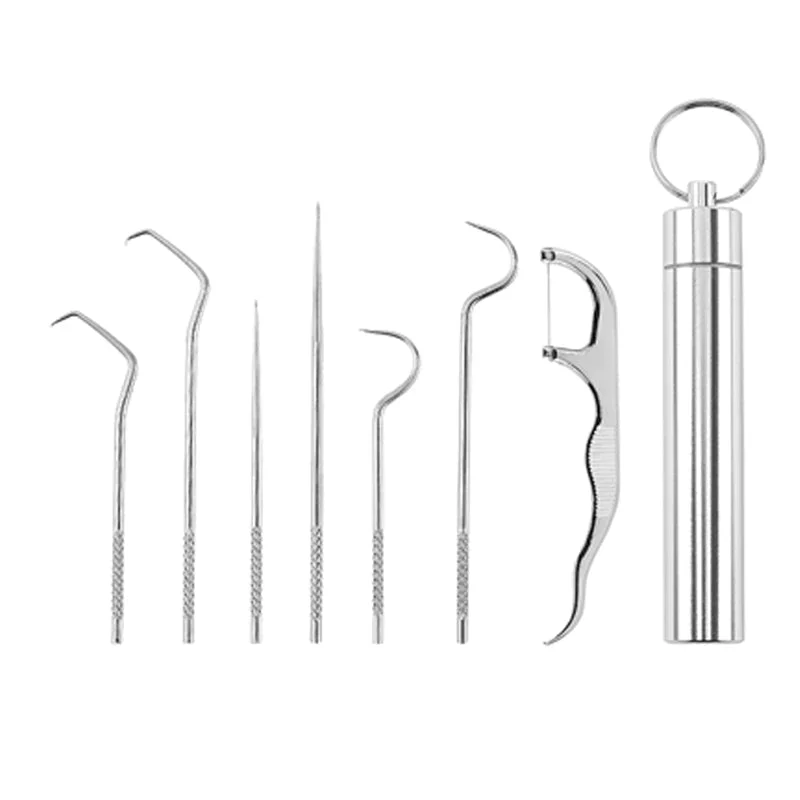 Stainless Steel Toothpick Set - Image 12